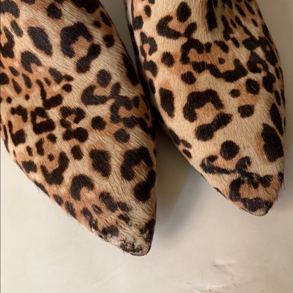 Sam Edelman leopard booties - Picture 4 of 5